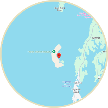 Tide gauge location